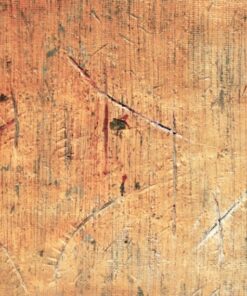 pigmenti in polvere e acrilico su tela Sergio Mario Illuminato