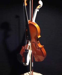 Mista,vero violino