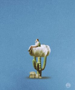 Kroma Un posto tra spine e soffice questa è la mia vita