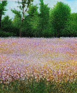 Lavanda prato natura Domenico Ursillo