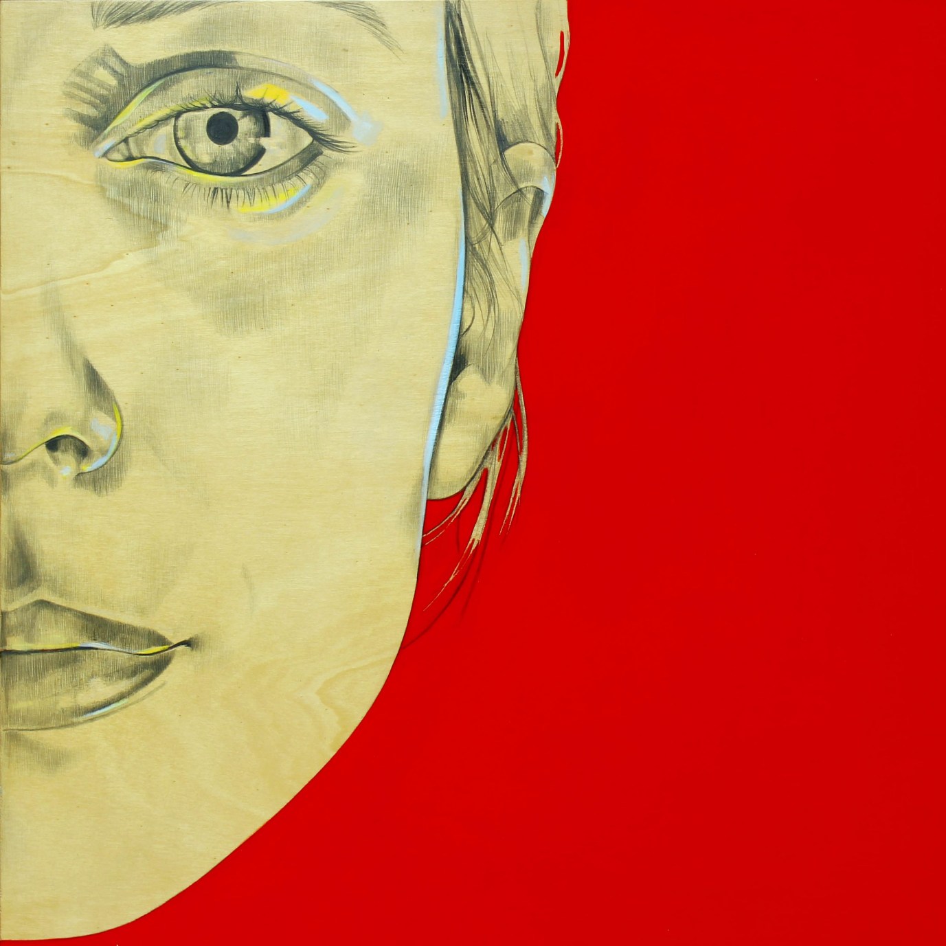 Silvia Rastelli grafite e acrilico su legno di pioppo