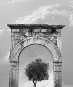 Enzo Rosamilia Dalla serie "oltre" surrealismo natura stampa fotografica