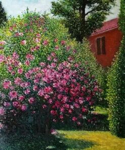 Paesaggio natura Domenico Ursillo