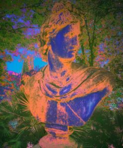 L'opera è una fotografia di un'antica scultura, rielaborata con processi di fotoritocco digitale. La stampa è provvista di un margine d'abbondanza nero per essere fissata su telaio. Mattia Paoli