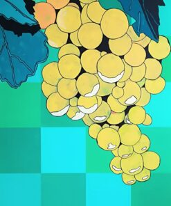 Nicoletta Belli acrilico su tela natura frutta