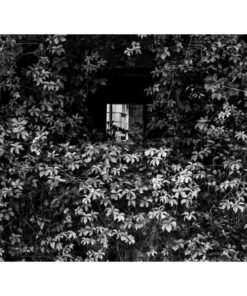 Chiara Cerasuolo Fotografia (stampa fine art) Paesaggi