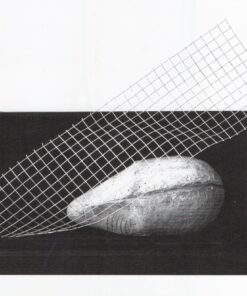 Acre Anna Crescenzi gesso, terra, colle, pigmenti, legno e rete metallica