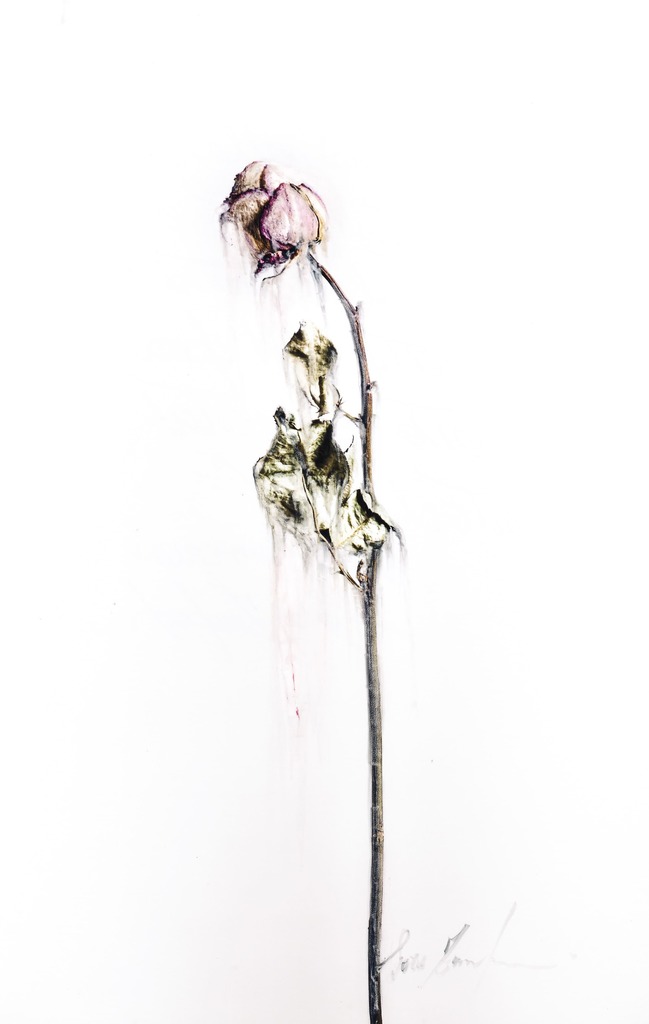 Sara Zamperlin acidi su stampa fotografica natura morta figurativo