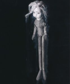 Sara Zamperlin figurativo natura morta