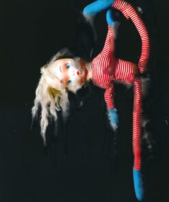 Sara Zamperlin figurativo natura morta