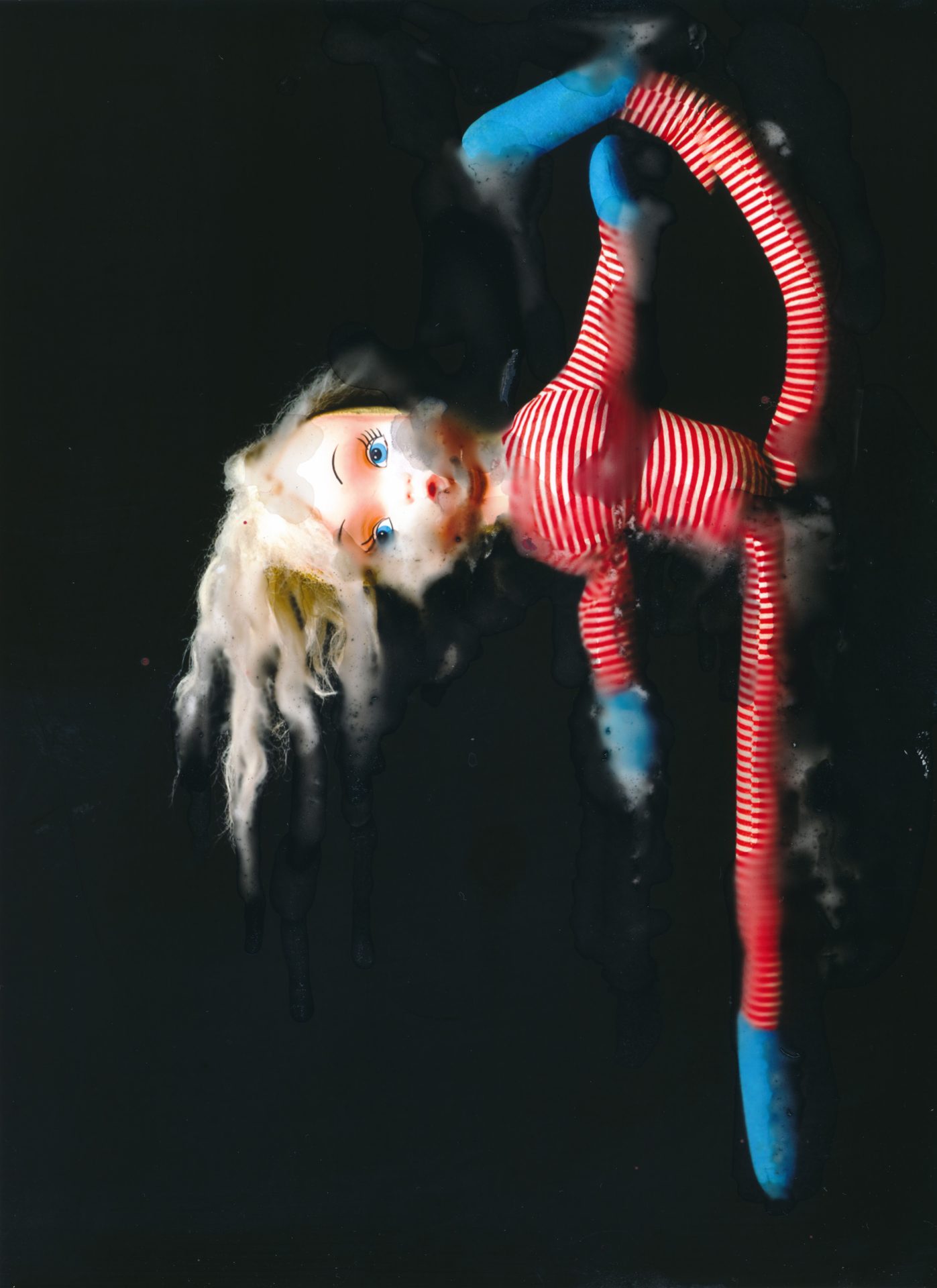 Sara Zamperlin figurativo natura morta