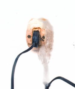 Sara Zamperlin figurativo natura morta