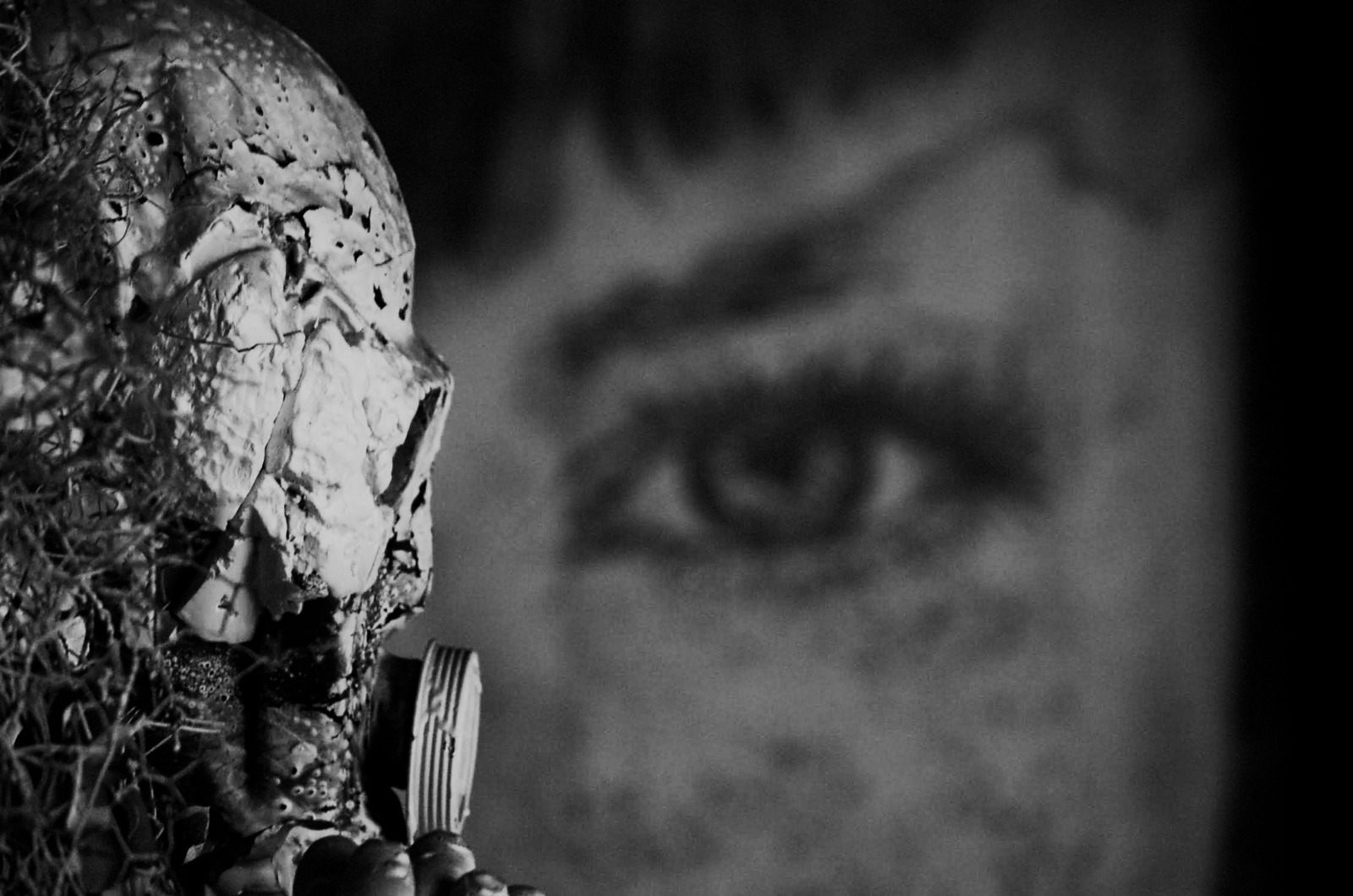 Davide Gualtieri fotografia digitale occhi volto femminile