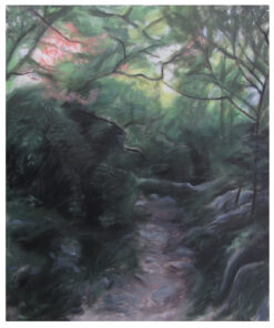 The woods of duga luka