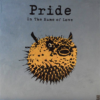 PRIDE (IN THE NAME OF LOVE)