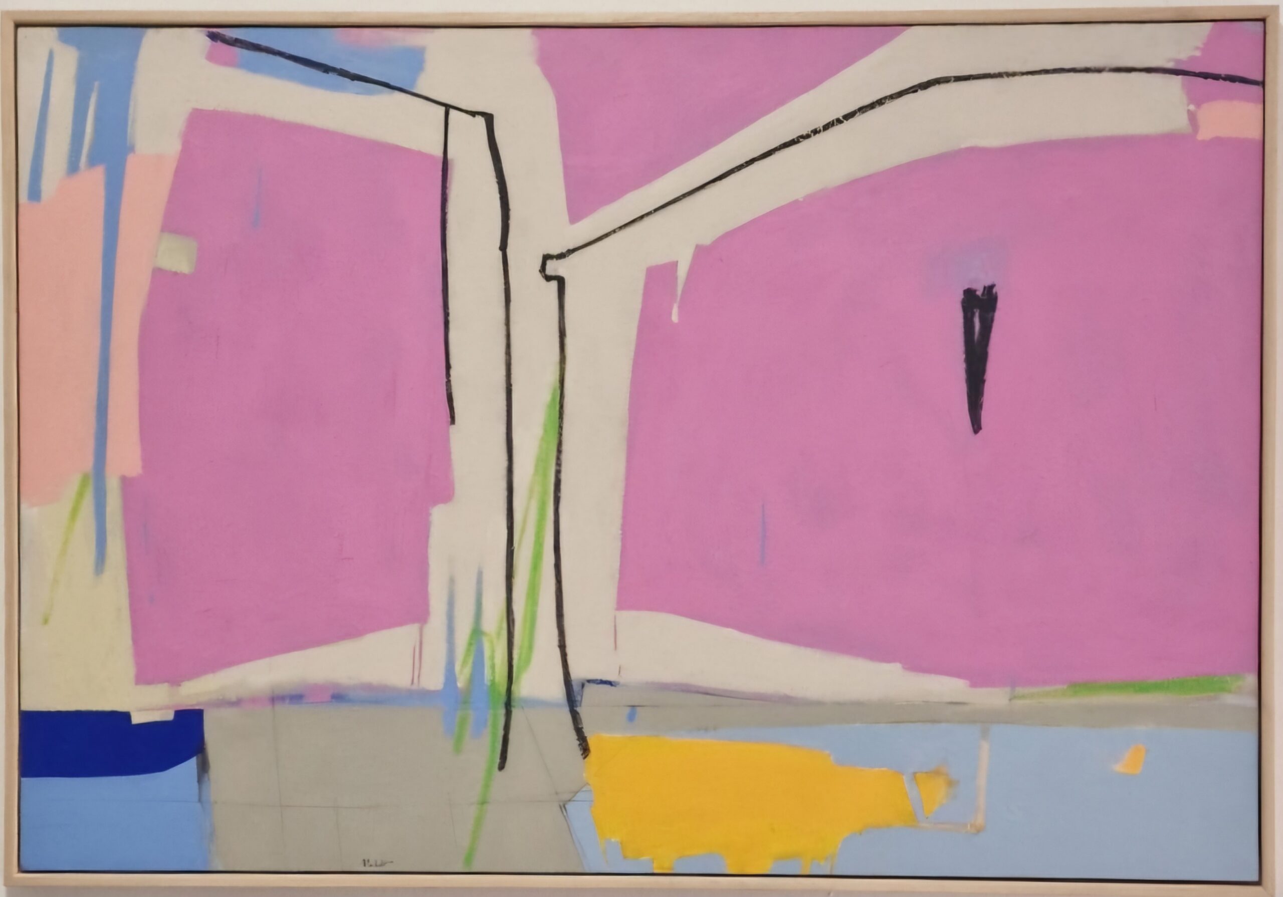 Close up - Primo piano